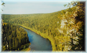 река Березовая (среднее течение)